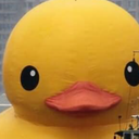 discordavatar512XXF1N