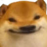 2360doge5head
