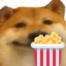 2507dogepopcorn