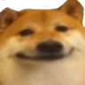 3539dogeface