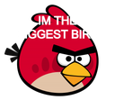 angrybirdshdpngpictures10