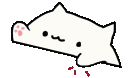 BONGOCAT