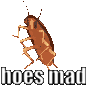 hoes_mad