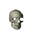 skullspin