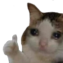 cryingcatthumbsup
